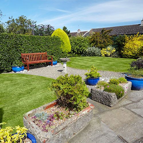 Neat back garden with striped lawn, clipped hedge and a planted patio