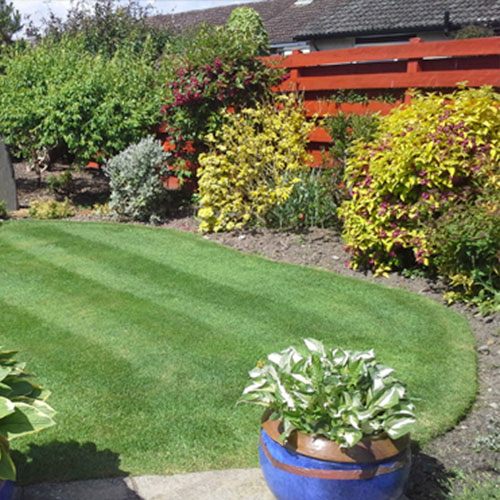Freshly striped, mown lawn with colourful planted borders