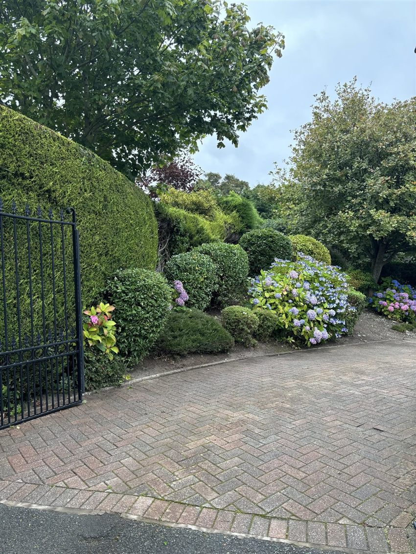 Clipped hedge, planted borders and a tidy driveway